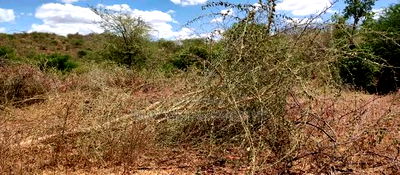 Embu,Mbeere 17 Acres Agricultural Farmland - Image 3