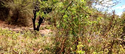 Embu,Mbeere 17 Acres Agricultural Farmland - Image 8