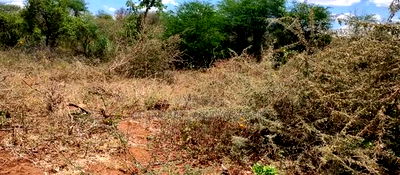 Embu,Mbeere 17 Acres Agricultural Farmland - Image 1