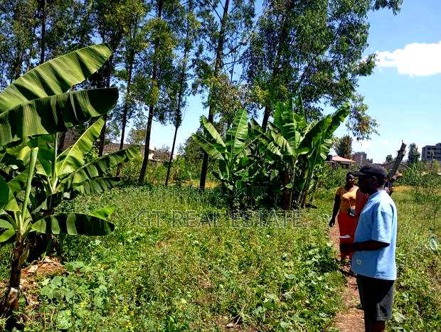 Kasarani Half Acre for Sale