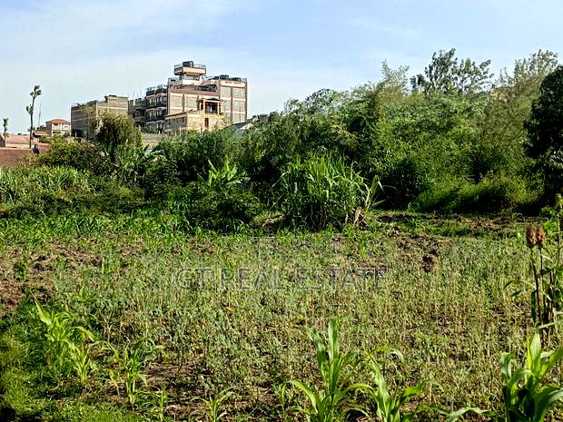 Kasarani Half Acre for Sale