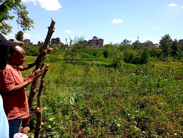 Kasarani Half Acre for Sale