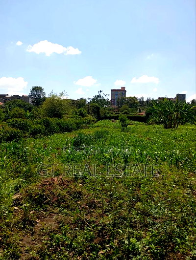 Kasarani Half Acre for Sale - Image 8