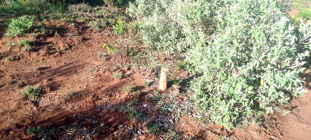 Plots for Sale in Ngong Kimuka.