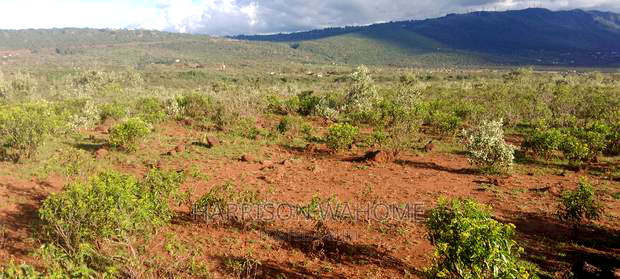Plots for Sale in Ngong Kimuka.