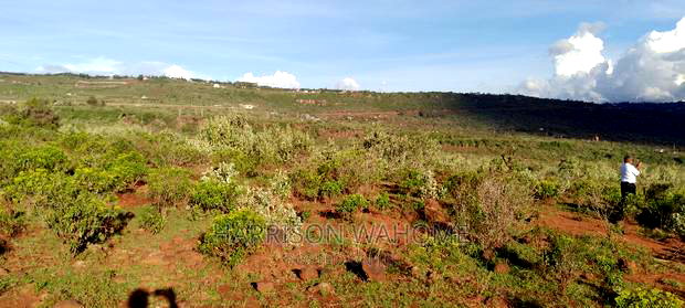 Plots for Sale in Ngong Kimuka.
