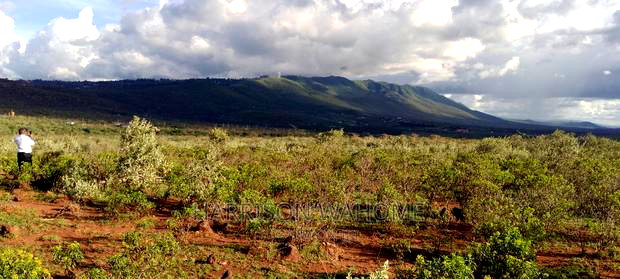 Plots for Sale in Ngong Kimuka.