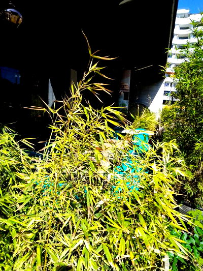 Posh Rooftop Club ,Lounge Space - Image 3