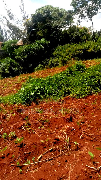 Thome 1/4 Land on Sale, Gated Community - Image 3