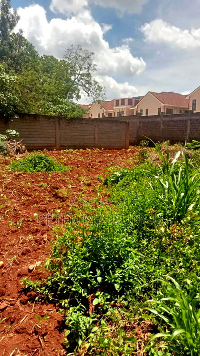 Thome 1/4 Land on Sale, Gated Community - Image 4