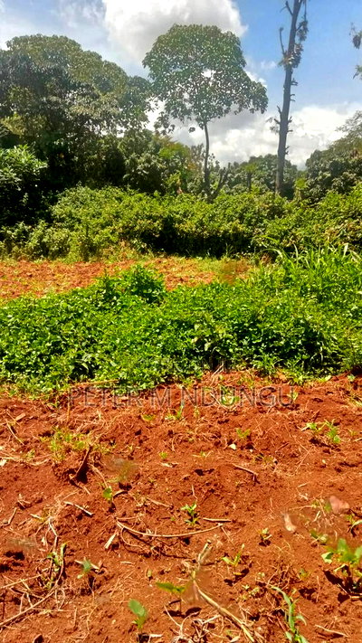 Thome 1/4 Land on Sale, Gated Community - Image 2