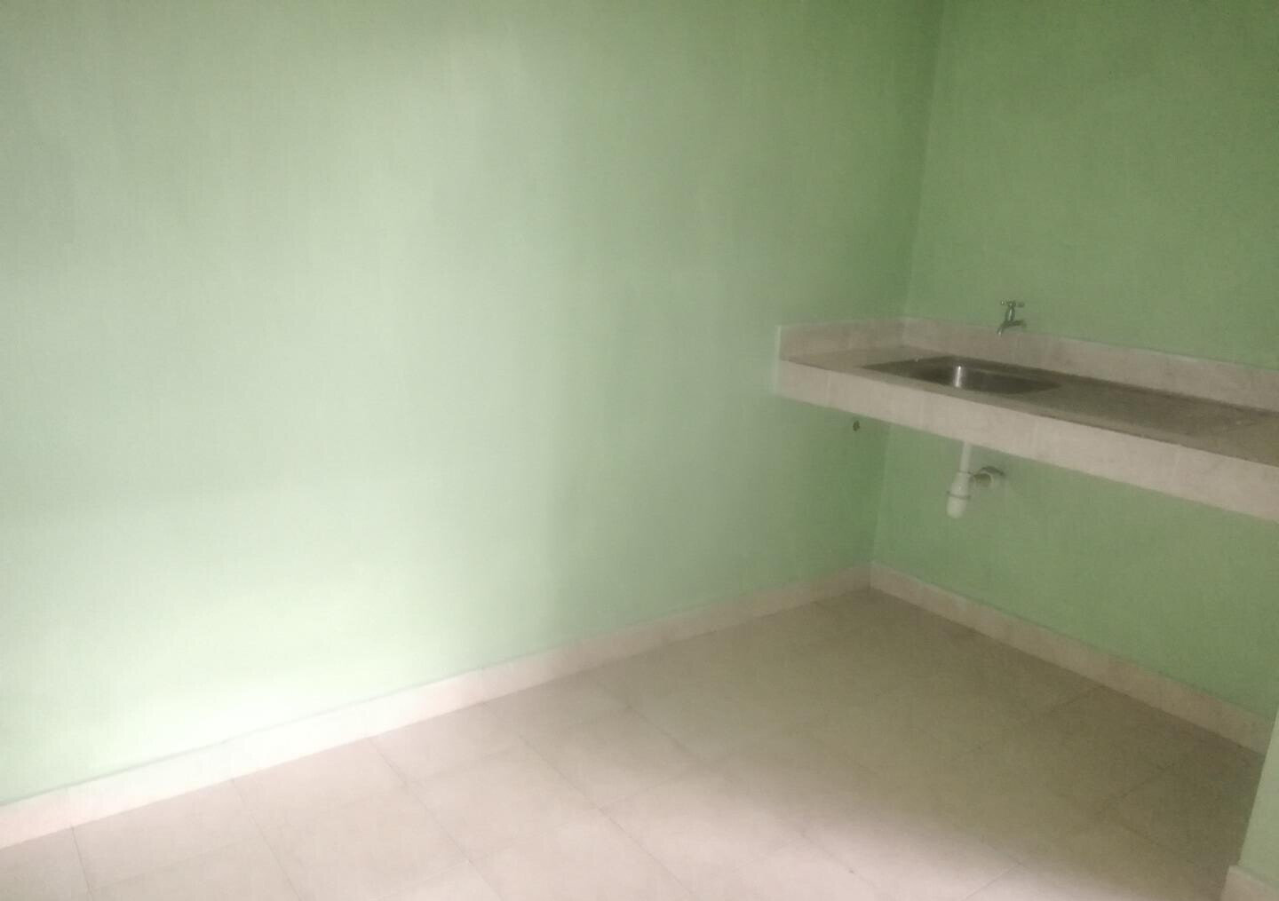 Remodeled 4BR Townhouse with DSQ & Underground Water Tank - South C
