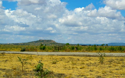50x100 Plot with Garden at KSh 649K
