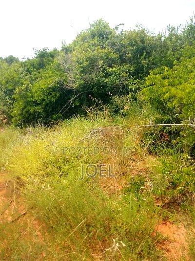 Malindi 4 Acre Land - Image 2