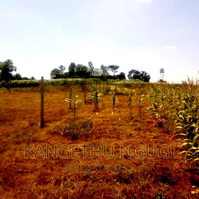 Half Acre Runda Mumwe - Image 3