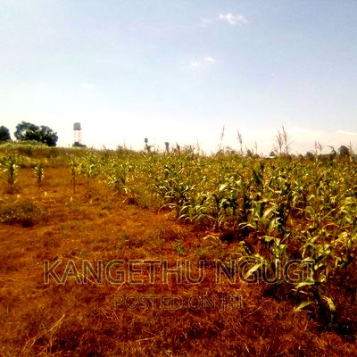 Half Acre Runda Mumwe - Image 4