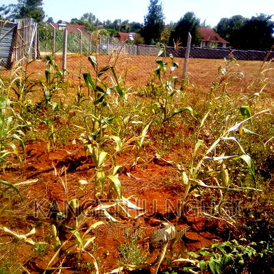 Half Acre Runda Mumwe - Image 1