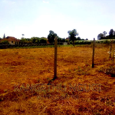 Half Acre Runda Mumwe - Image 6