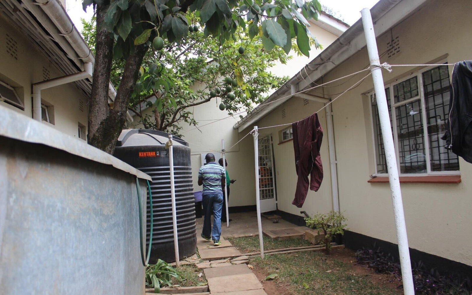 3BR Bungalow on Quarter Acre with Garden - Kilimani