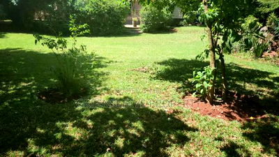 Land For Sale - Image 4