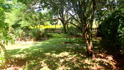 Land For Sale - Image 5