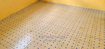 1bdrm Bedsitter in Kimumu for rent - Image 2