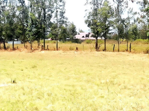 Superb Plots at Mangu Nakuru for Sale