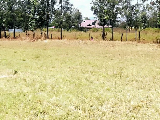 Superb Plots at Mangu Nakuru for Sale