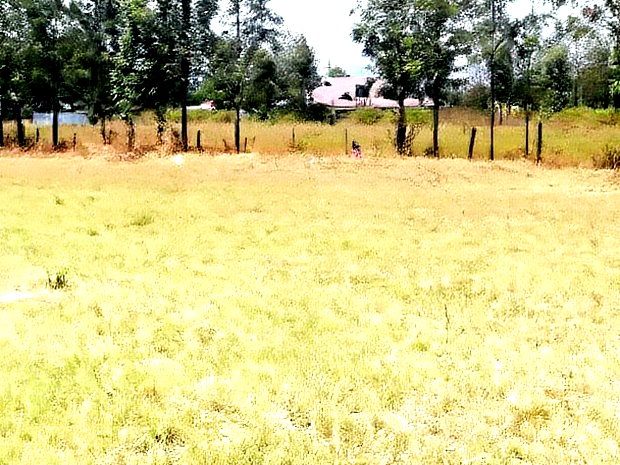 Superb Plots at Mangu Nakuru for Sale
