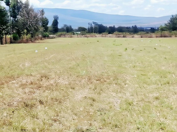 Superb Plots at Mangu Nakuru for Sale
