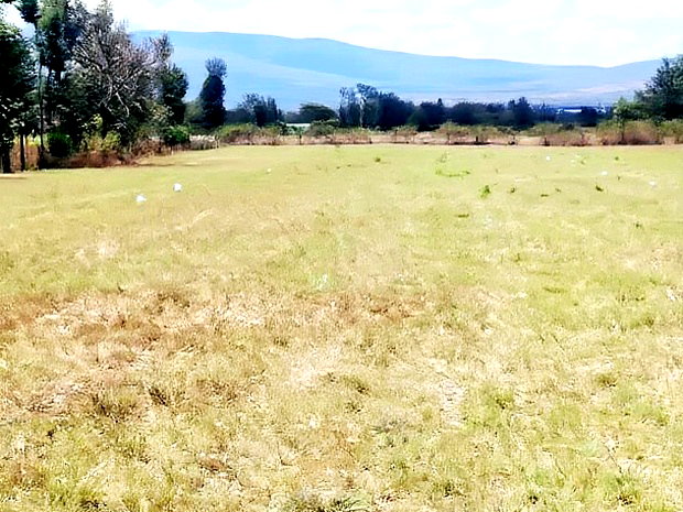 Superb Plots at Mangu Nakuru for Sale