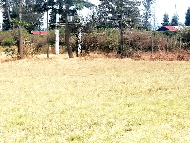 Superb Plots at Mangu Nakuru for Sale
