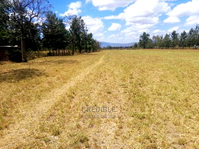 Superb Plots at Mangu Nakuru for Sale - Image 7