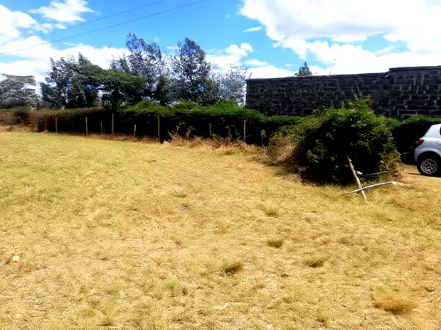 Superb Plots at Mangu Nakuru for Sale