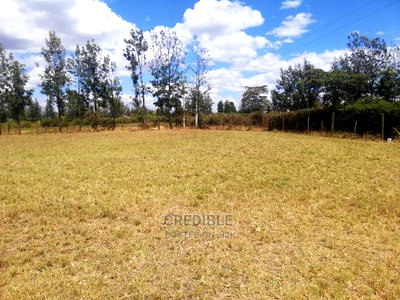Superb Plots at Mangu Nakuru for Sale - Image 6
