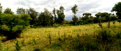 4-Acre Garden Land with Parking - Nanyuki