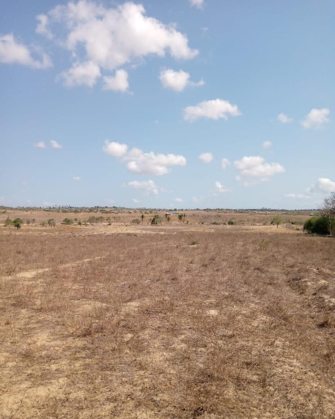 1/8 Acre Plot for KSh 300K