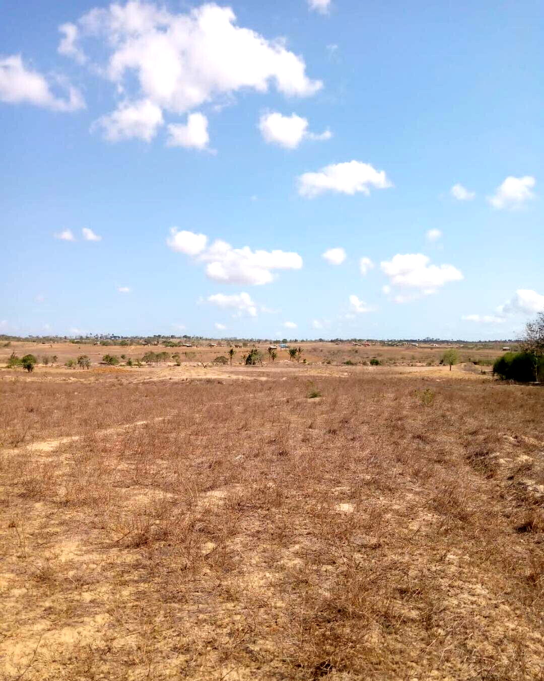 1/8 Acre Plot for KSh 300K