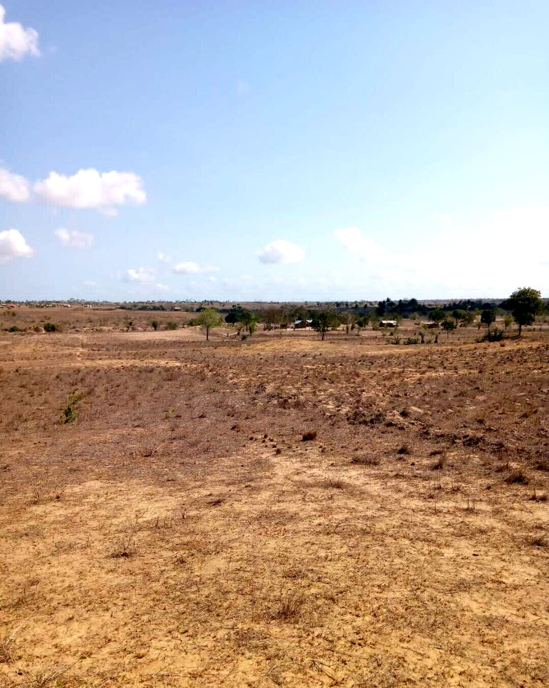 1/8 Acre Plot for KSh 300K