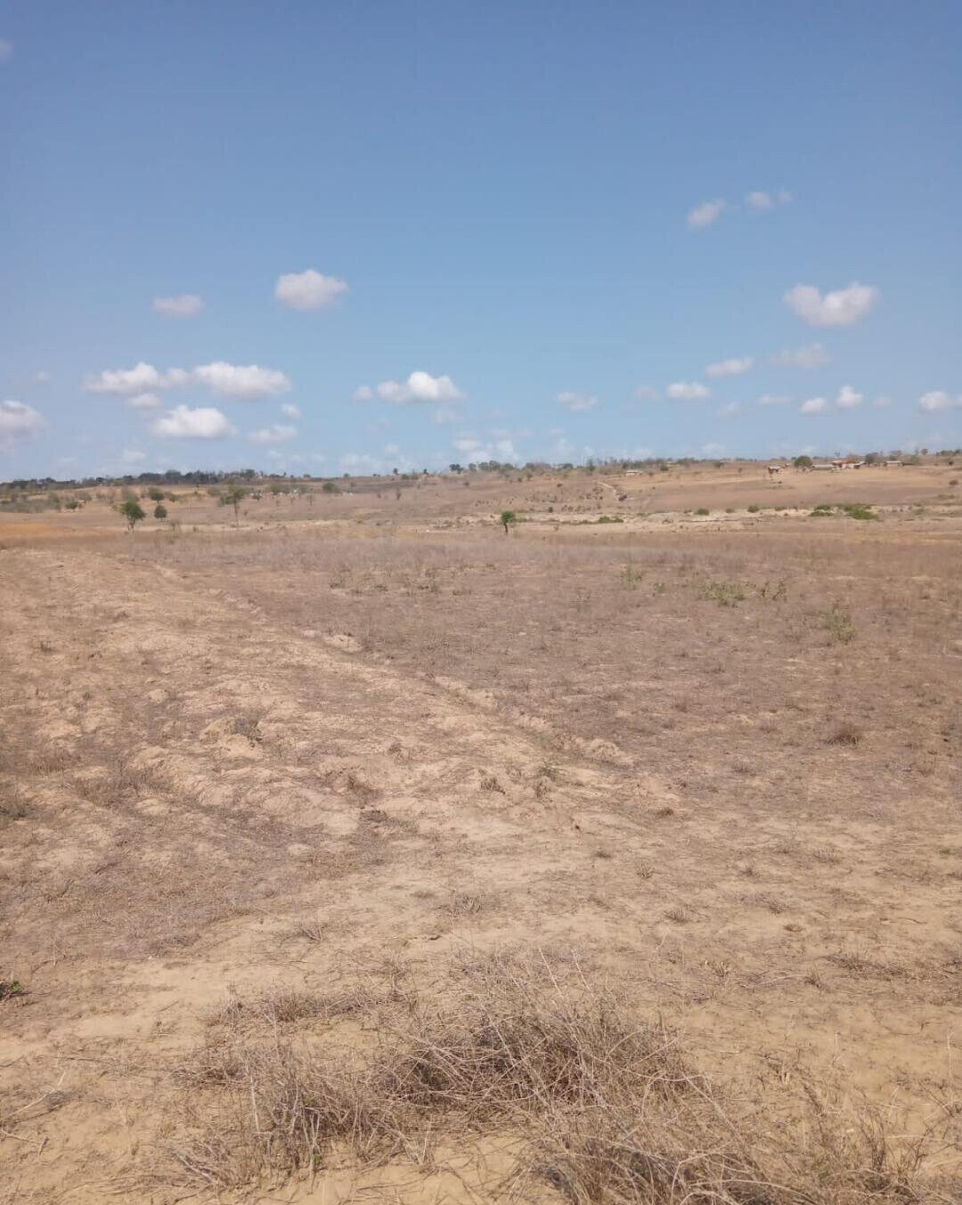 1/8 Acre Plot for KSh 300K