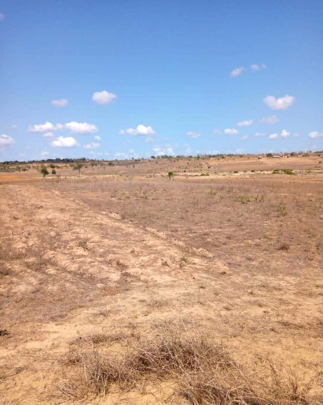 1/8 Acre Plot for KSh 300K