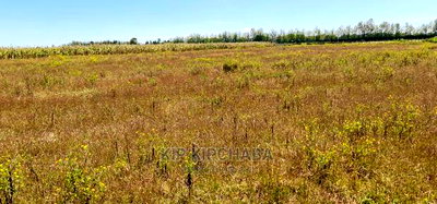 1/4 Plots for Sale in Kimumu Marura Near Highway in Eldoret - Image 1