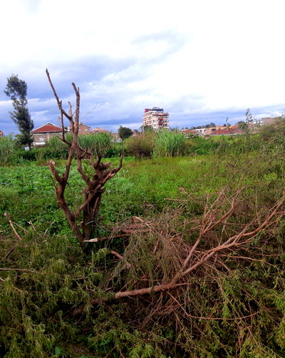 1 Acre Industrial Plot with Garden