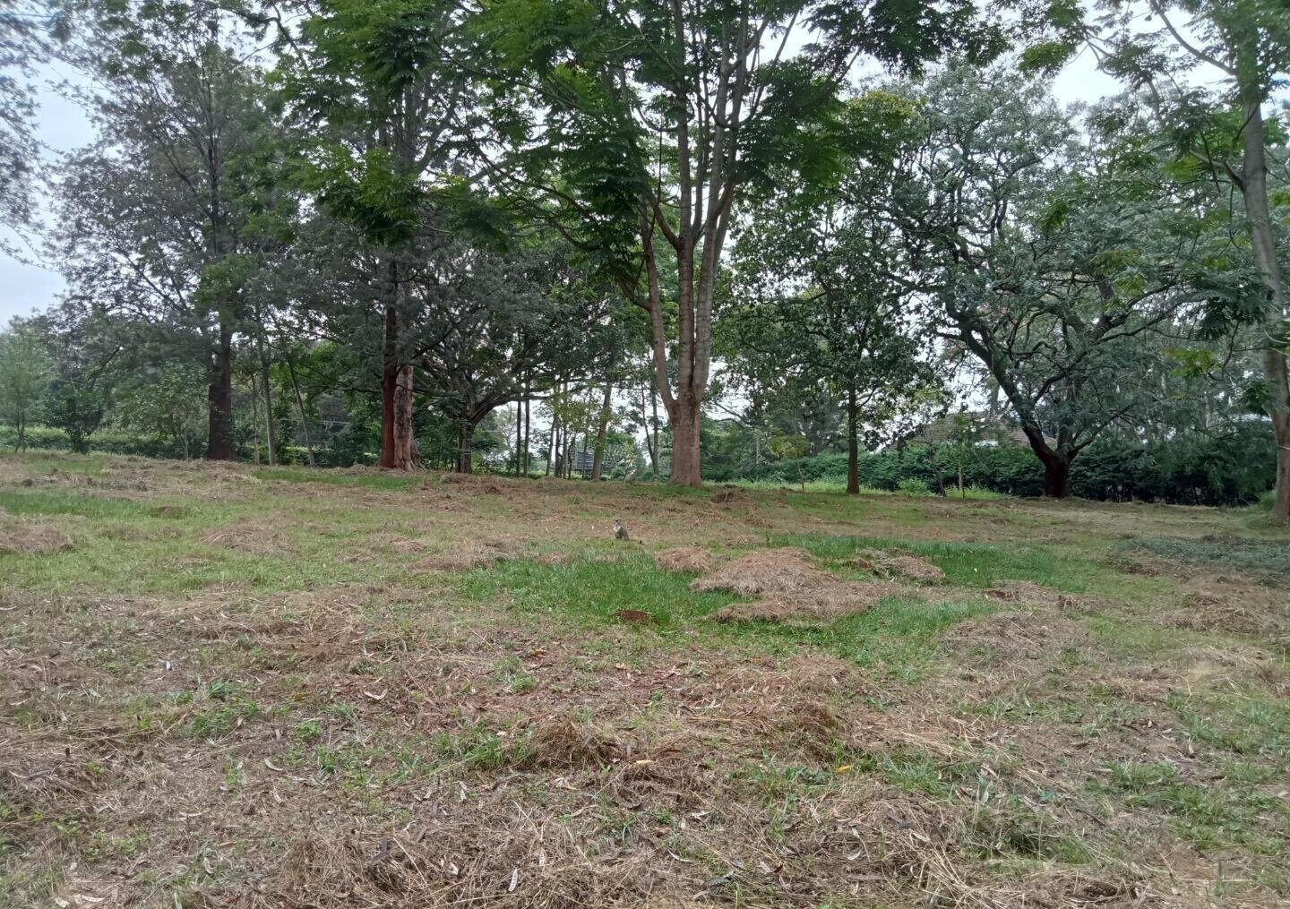 1-Acre Karen Land at KSh 70M
