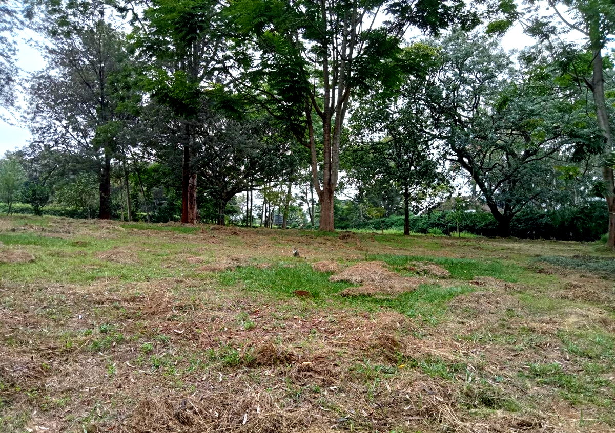 1-Acre Karen Land at KSh 70M