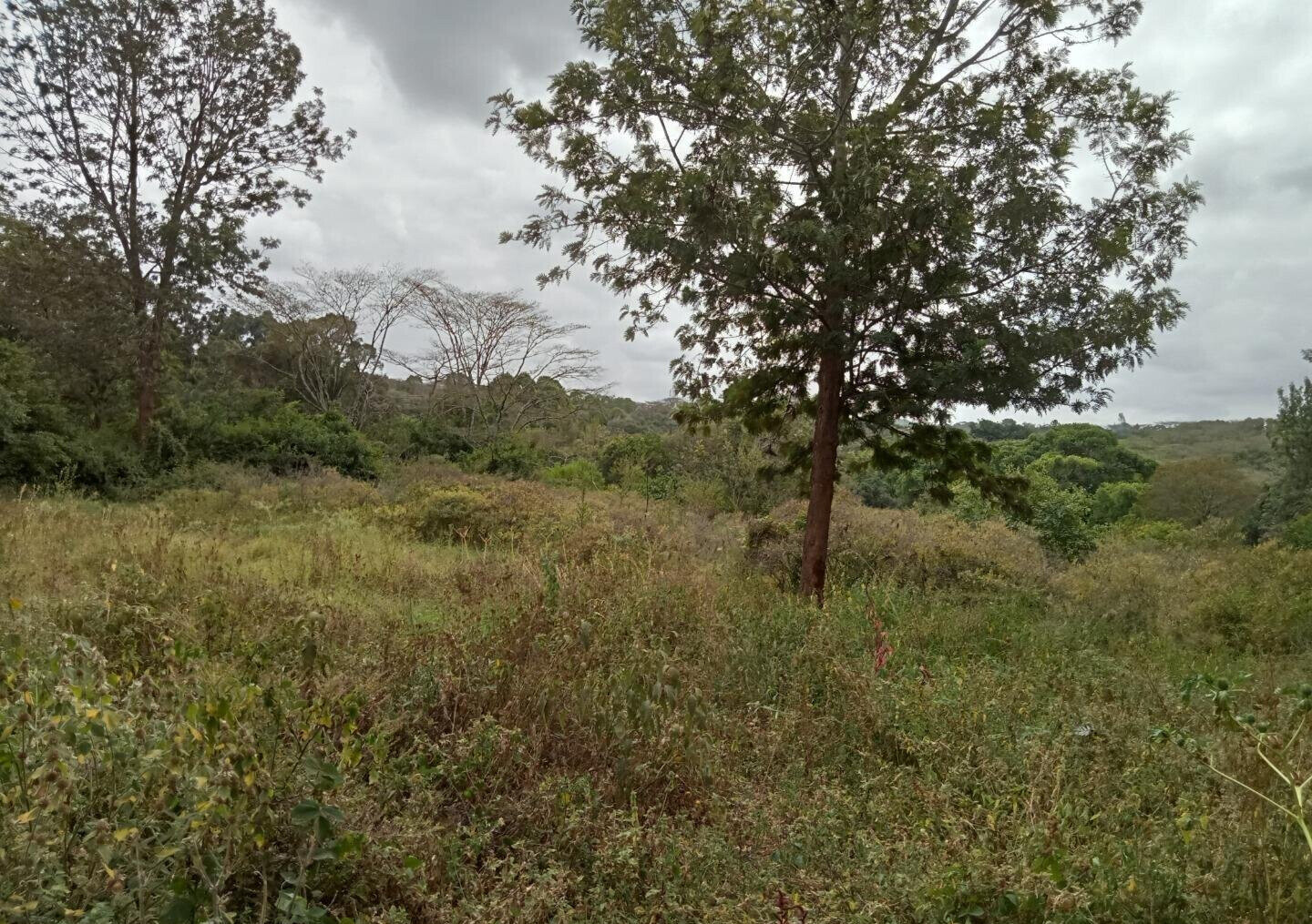 1-Acre Karen Land at KSh 70M