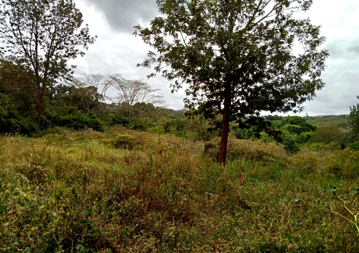 1-Acre Karen Land at KSh 70M