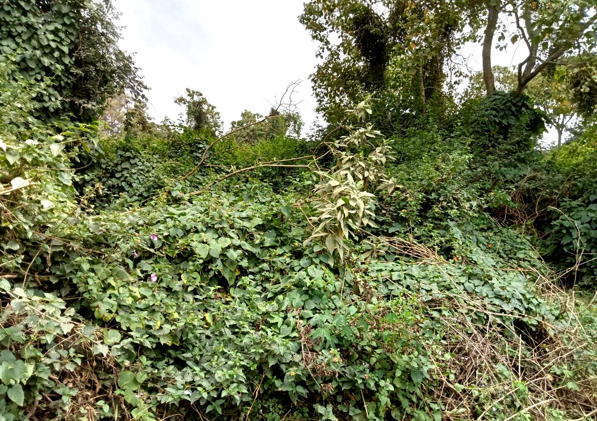 1-Acre Karen Land at KSh 70M