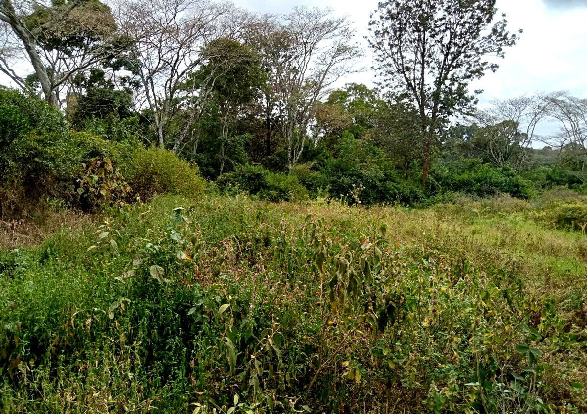 1-Acre Karen Land at KSh 70M