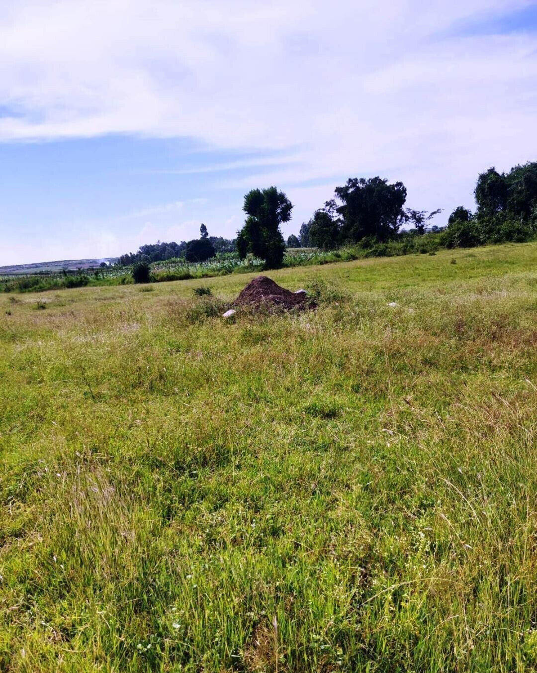 50-Acre Industrial Land in Katani